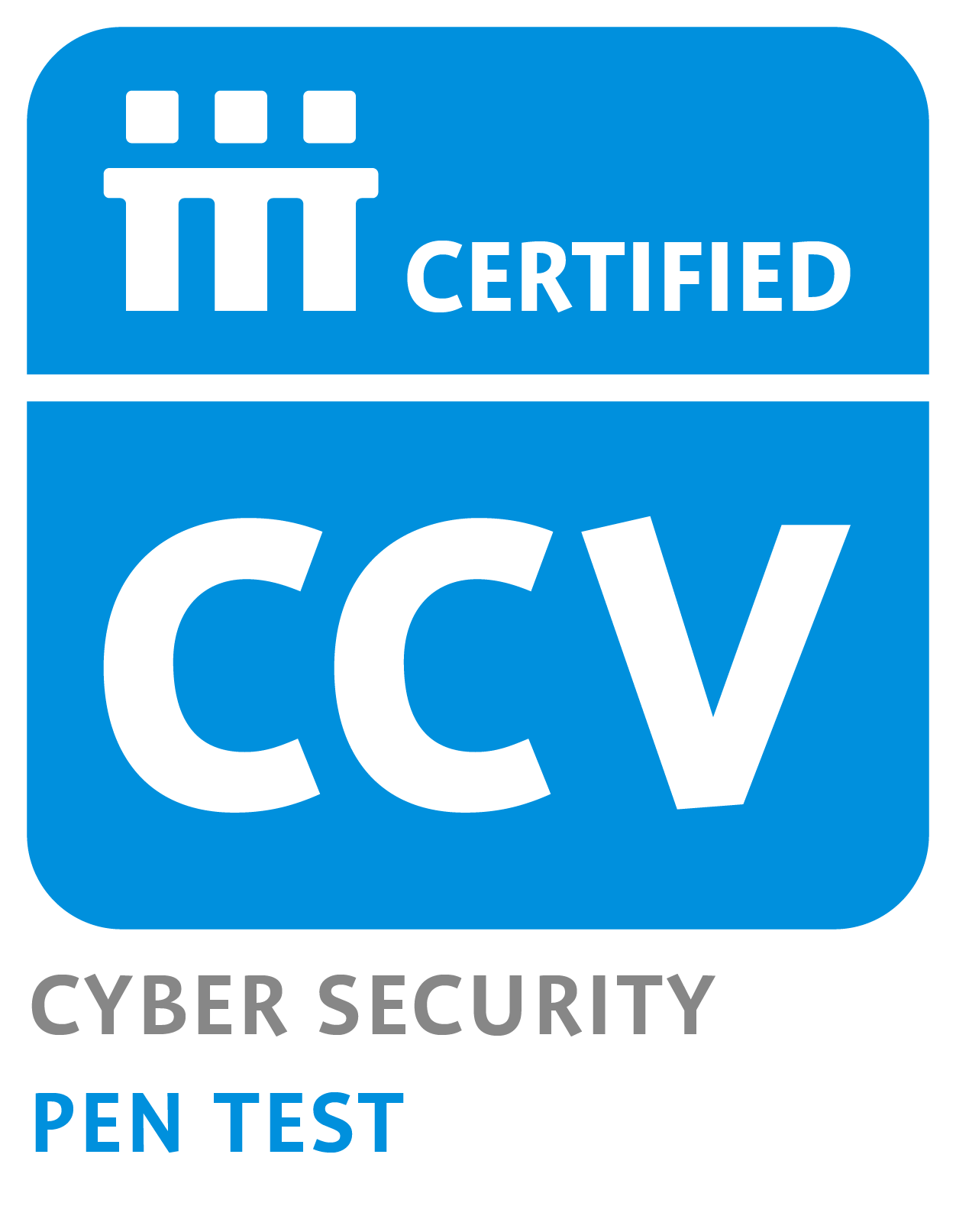 CCV Cyber Security Pen Test